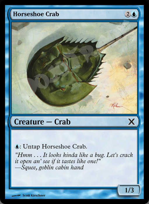 Horseshoe Crab