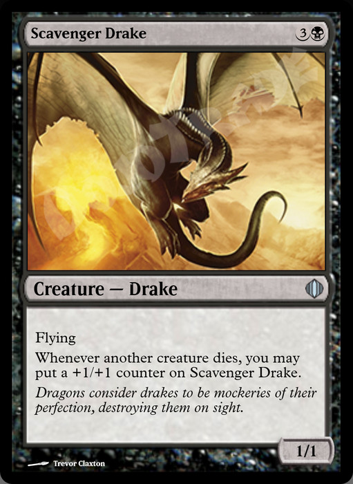 Scavenger Drake