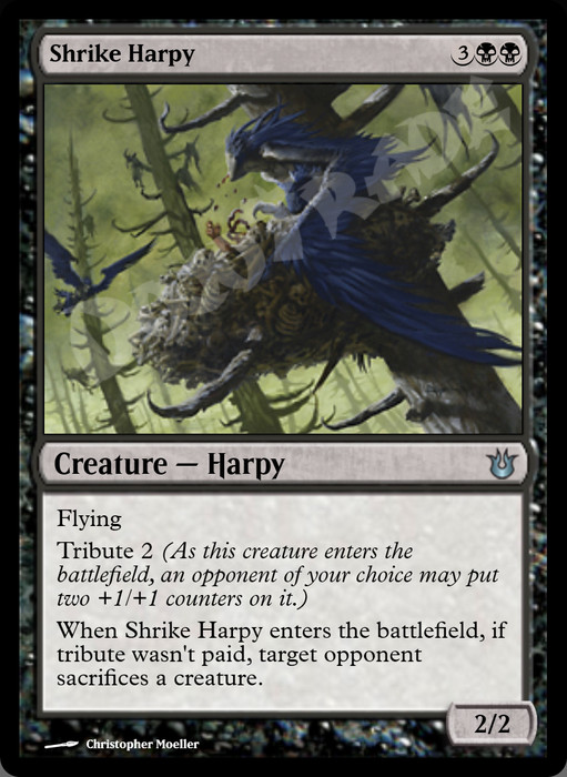 Shrike Harpy