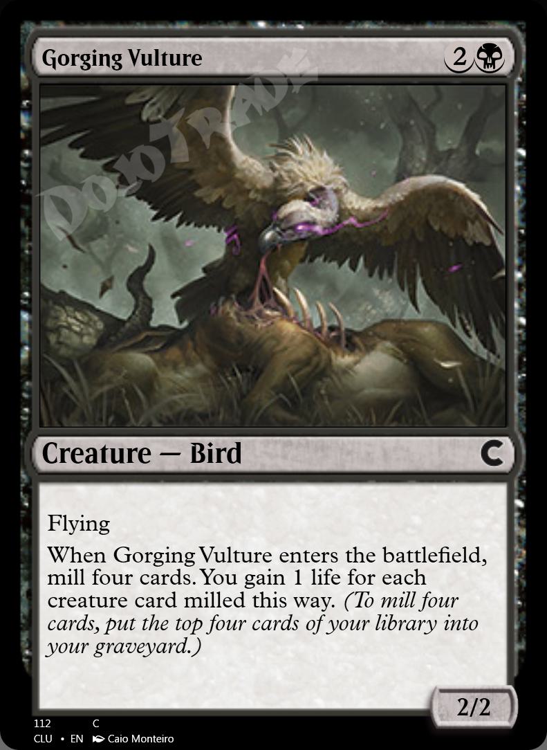 Gorging Vulture