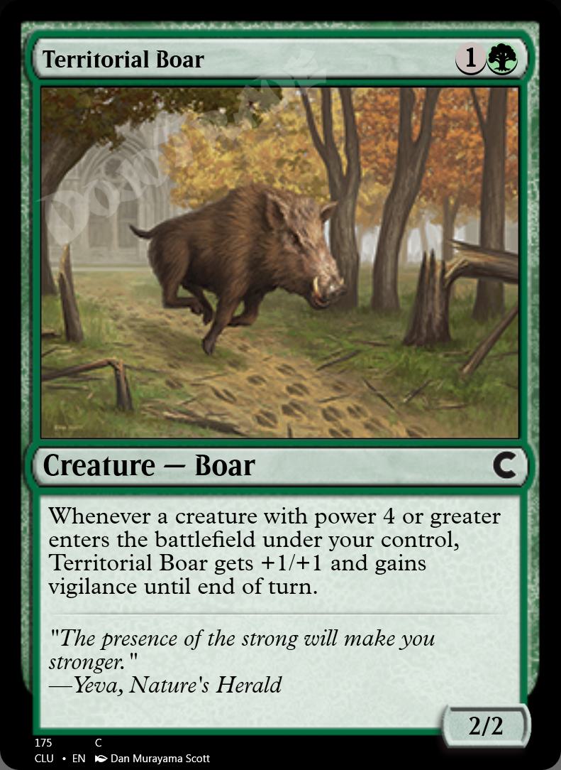 Territorial Boar