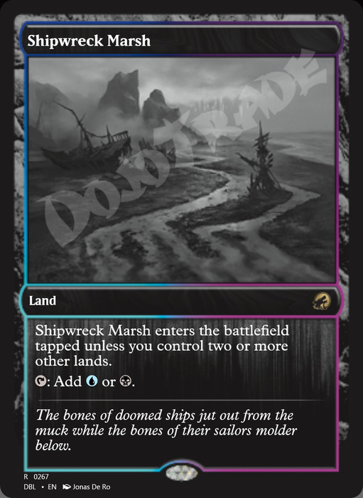 Shipwreck Marsh