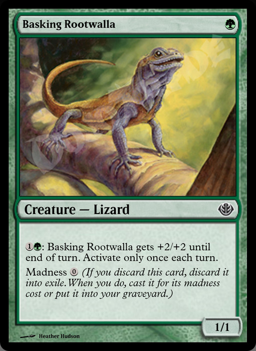 Basking Rootwalla