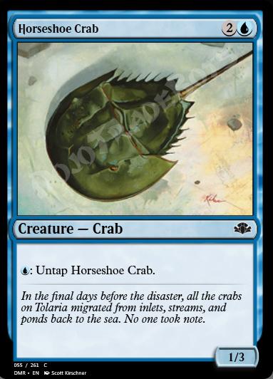 Horseshoe Crab