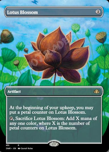 Lotus Blossom (Borderless)