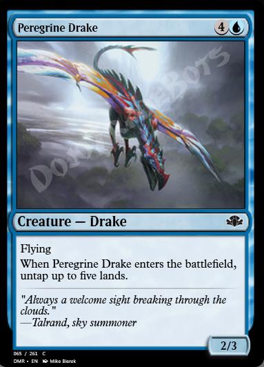 Peregrine Drake