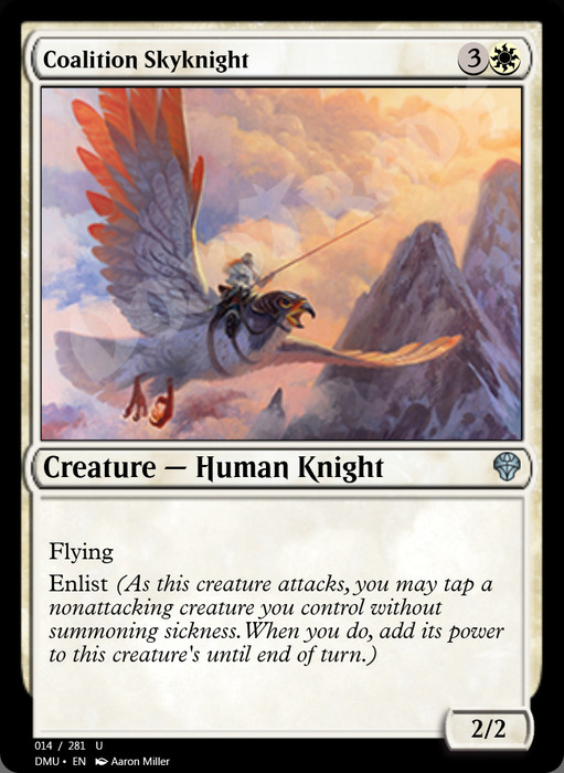 Coalition Skyknight