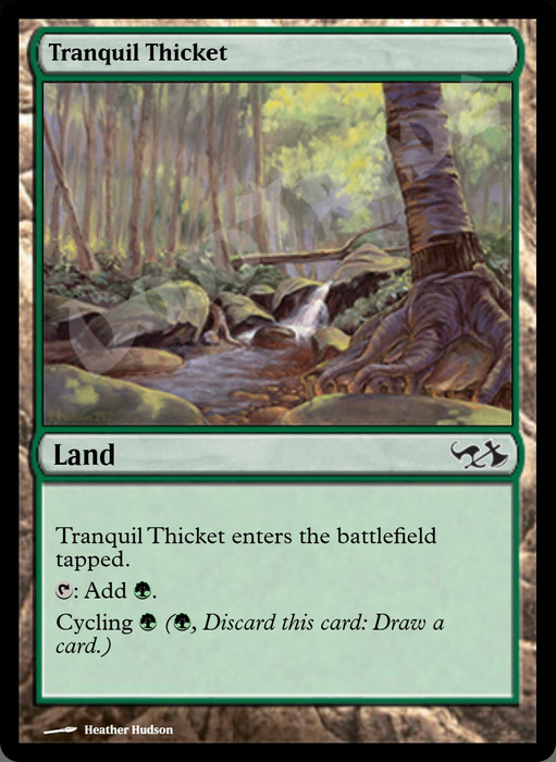 Tranquil Thicket