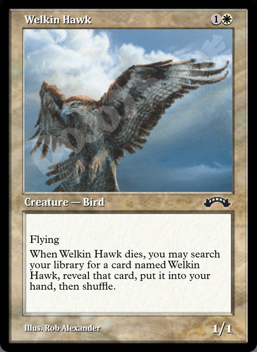 Welkin Hawk