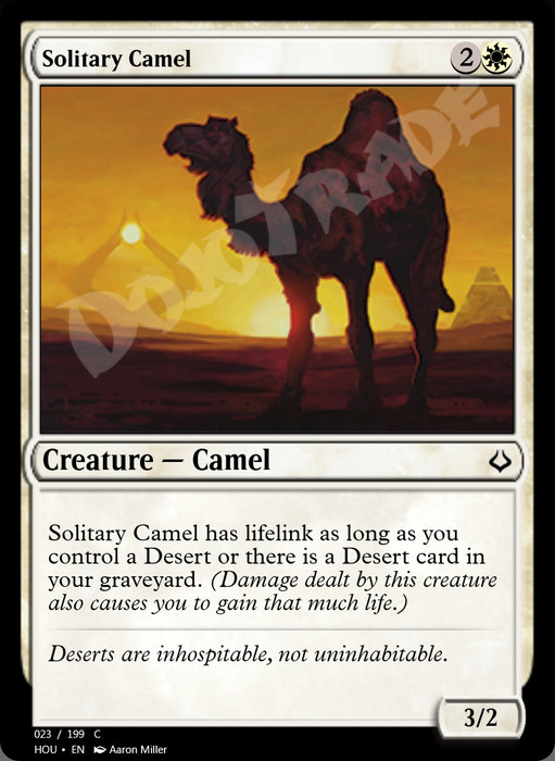 Solitary Camel