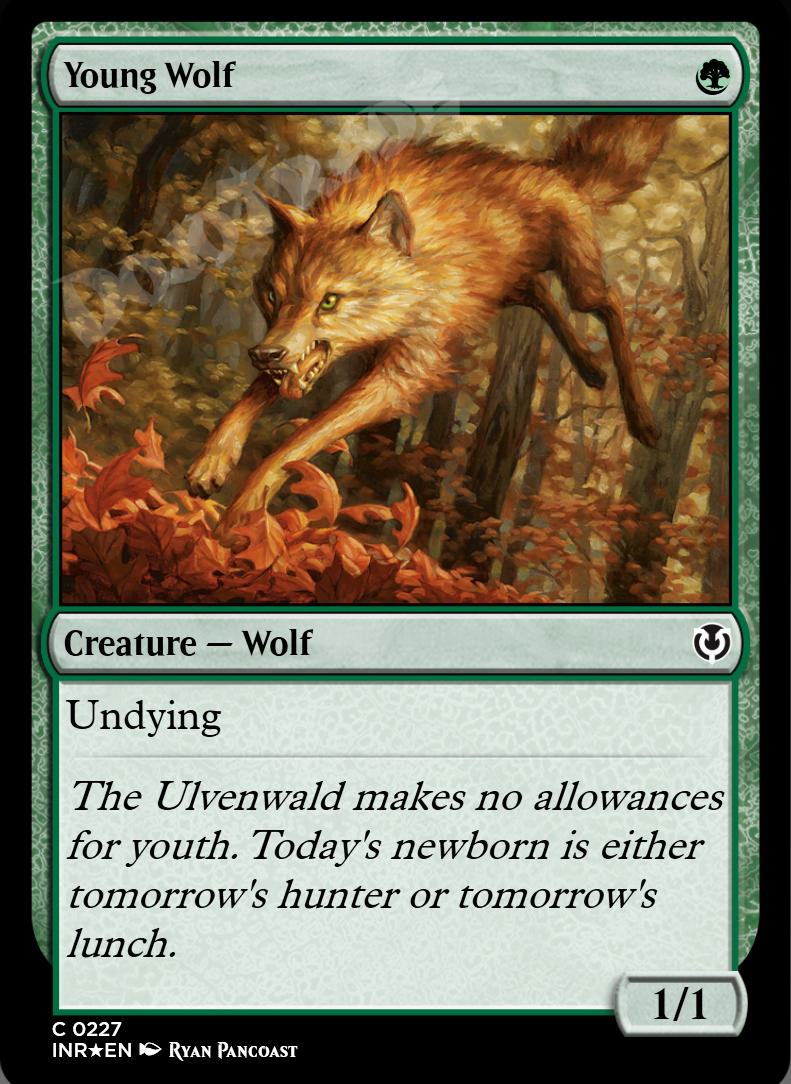 Young Wolf FOIL