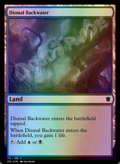 Dismal Backwater FOIL