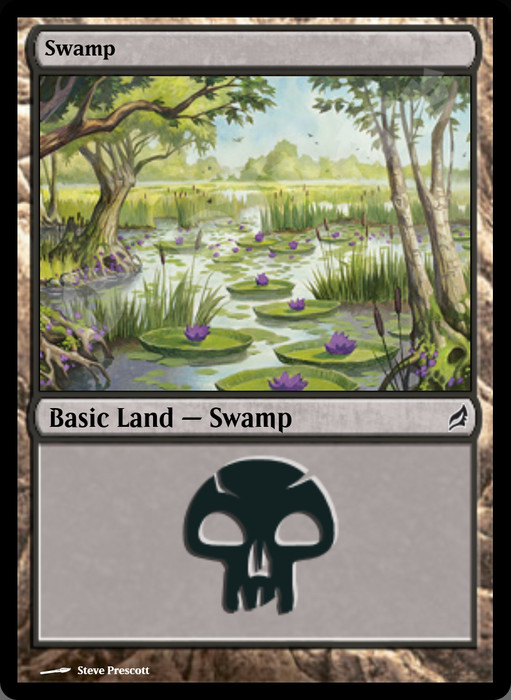 Swamp (#293)