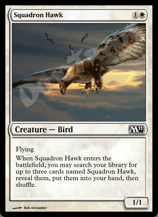 Squadron Hawk