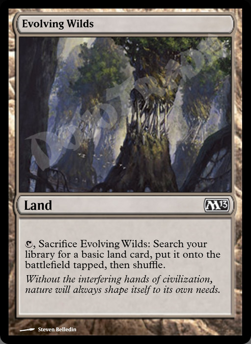 Evolving Wilds