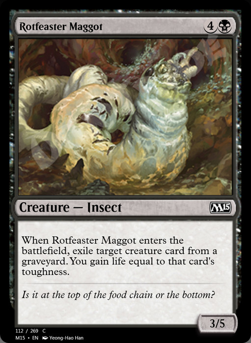 Rotfeaster Maggot