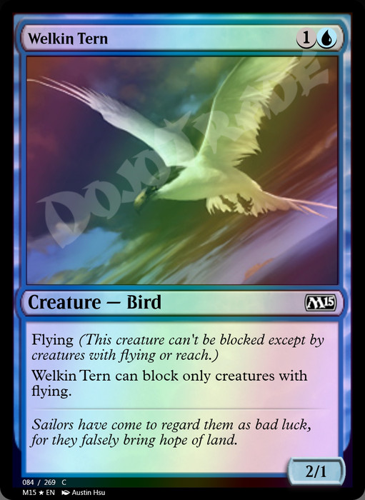 Welkin Tern FOIL