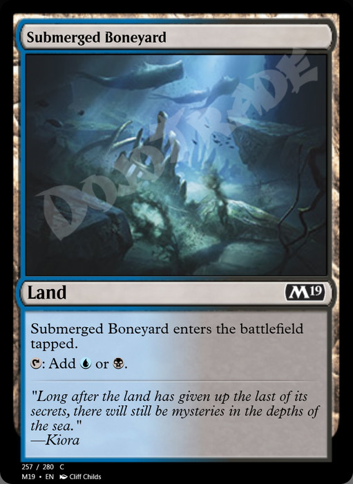 Submerged Boneyard