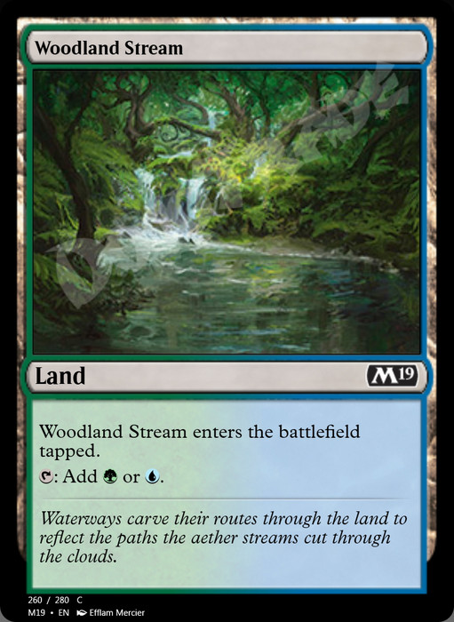 Woodland Stream