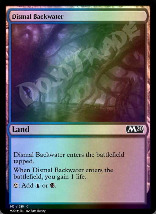 Dismal Backwater FOIL