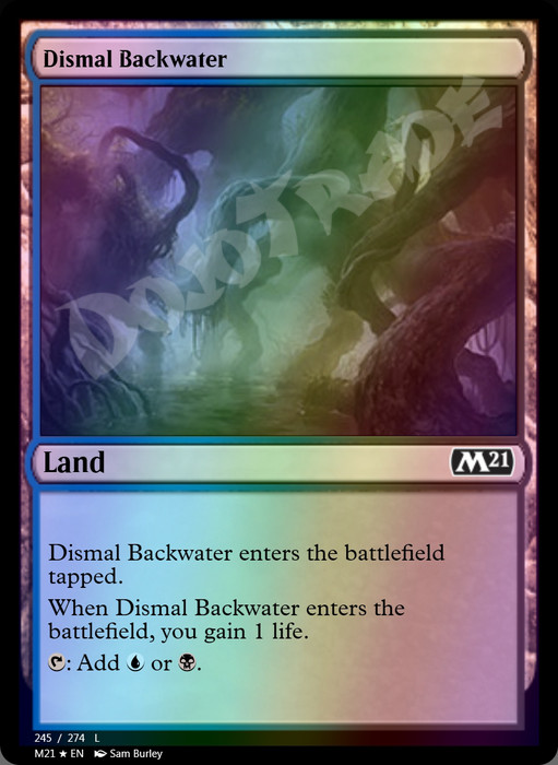 Dismal Backwater FOIL