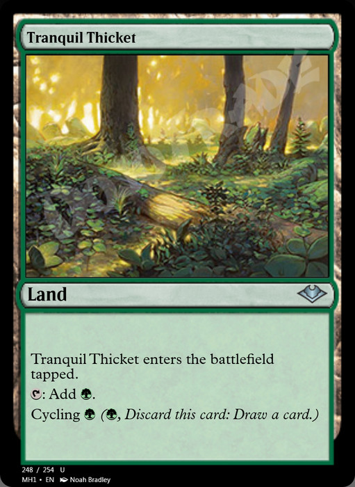 Tranquil Thicket