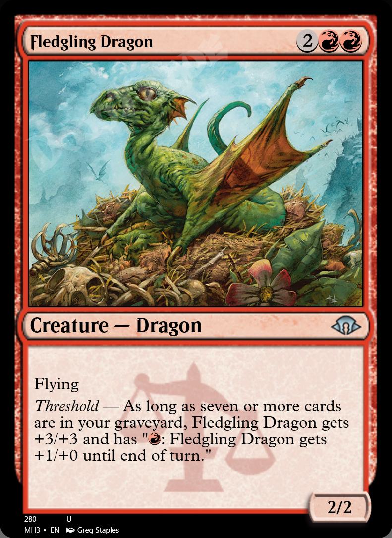 Fledgling Dragon