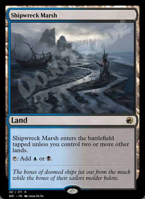 Shipwreck Marsh