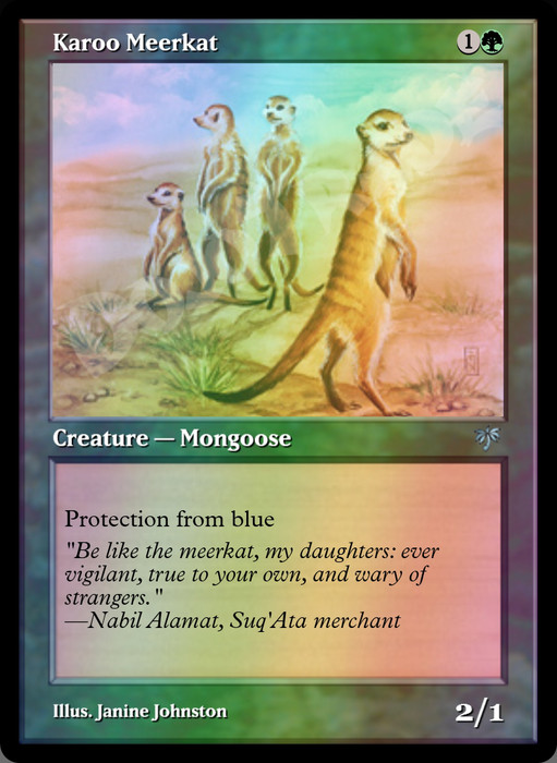 Karoo Meerkat FOIL