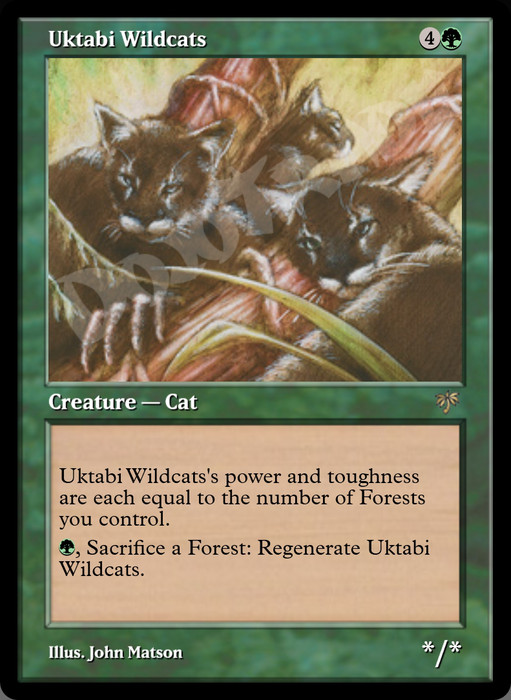Uktabi Wildcats FOIL