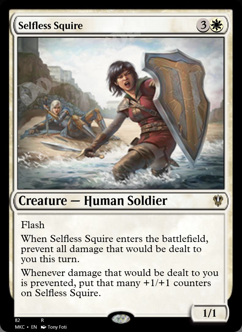 Selfless Squire