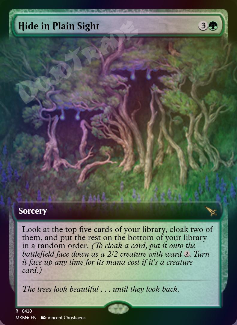 Hide in Plain Sight (Extended Art) FOIL