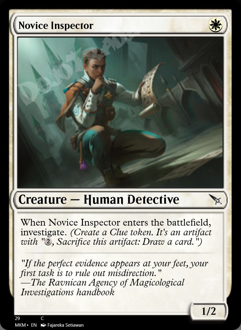 Novice Inspector