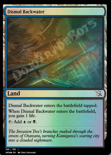 Dismal Backwater FOIL