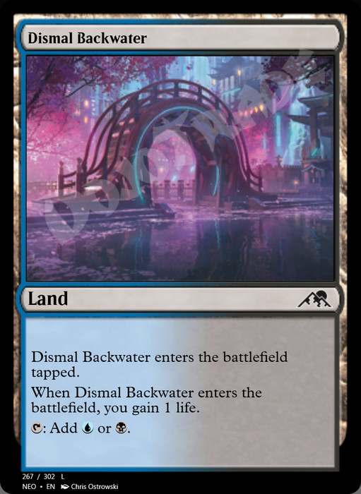 Dismal Backwater