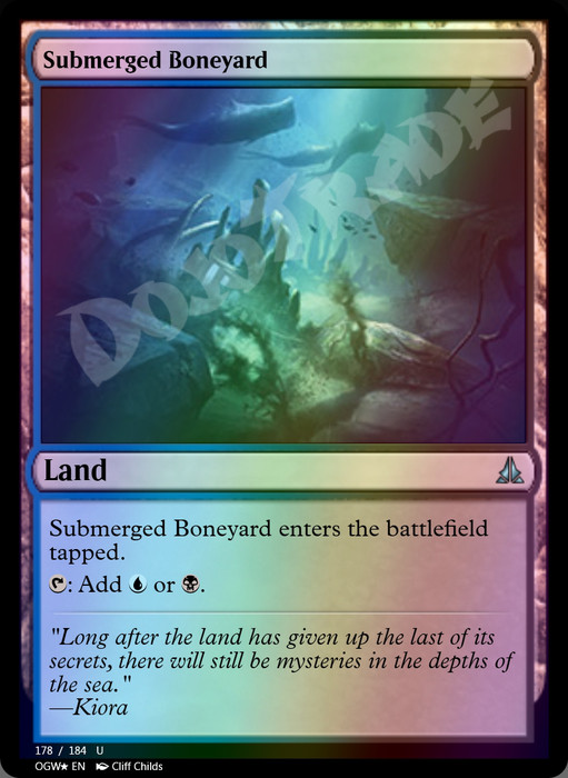 Submerged Boneyard FOIL