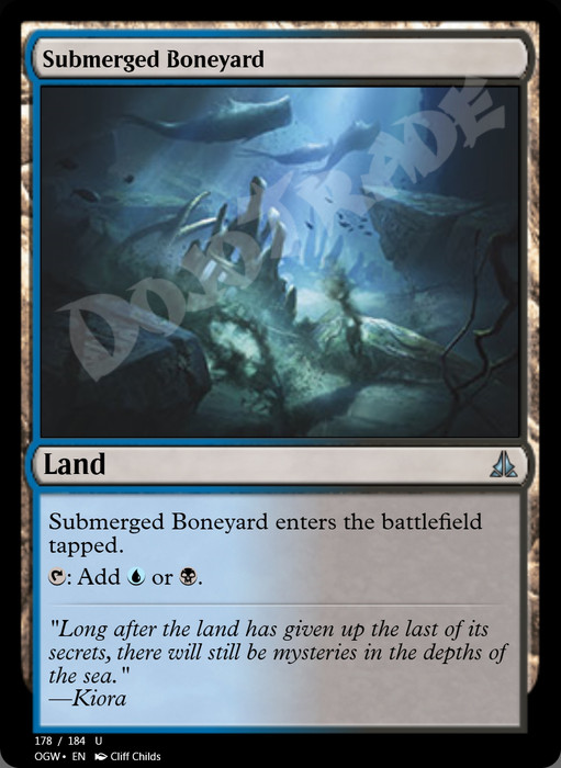 Submerged Boneyard