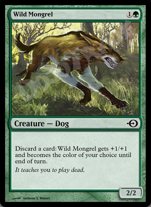 Wild Mongrel