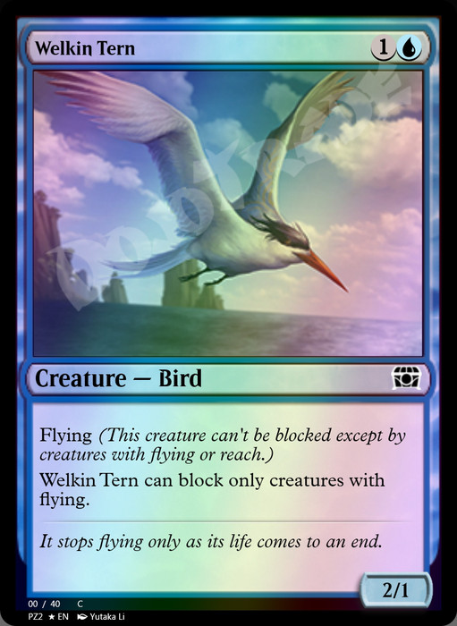 Welkin Tern FOIL