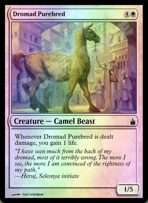 Dromad Purebred FOIL