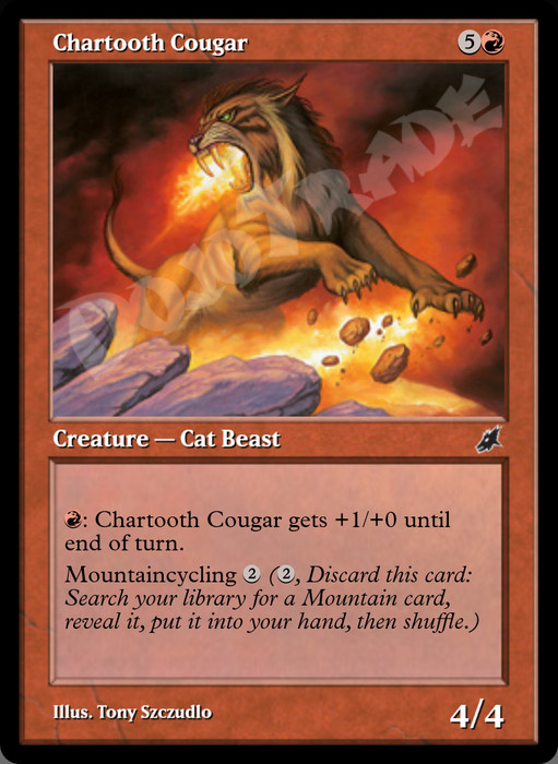 Chartooth Cougar