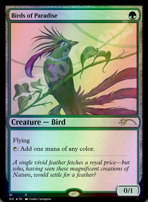 Birds of Paradise FOIL