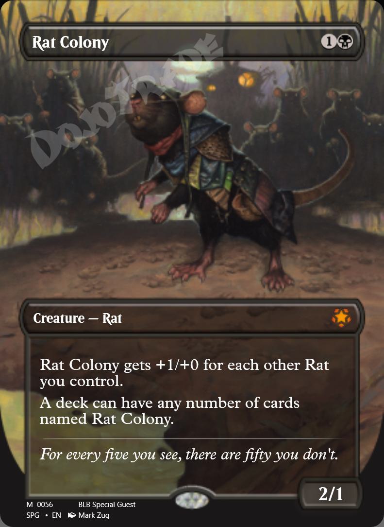 Rat Colony