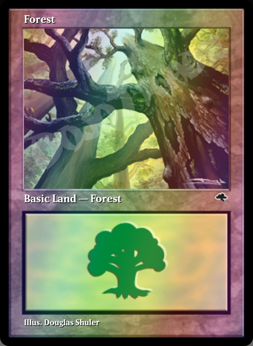 Forest (#347) FOIL