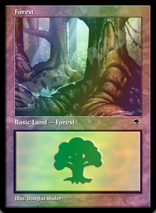 Forest (#348) FOIL