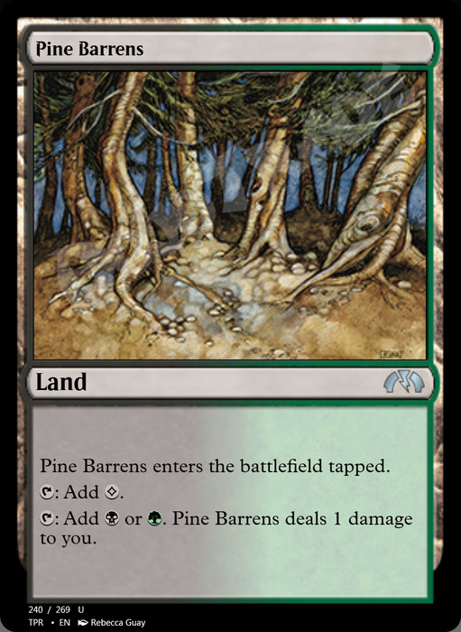 Pine Barrens