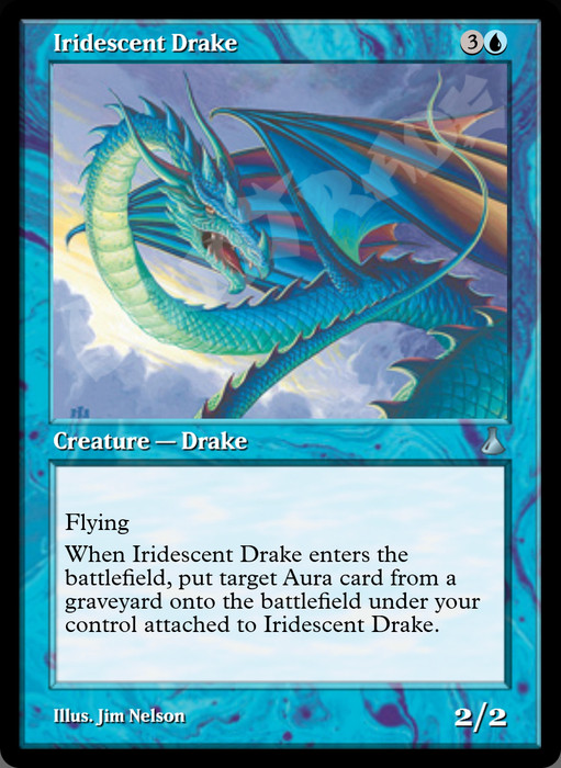 Iridescent Drake