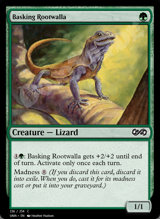 Basking Rootwalla