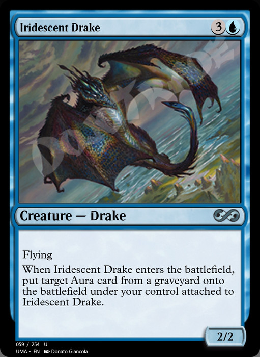 Iridescent Drake