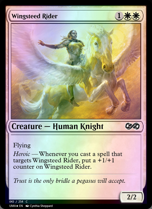 Wingsteed Rider FOIL